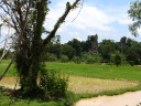 Banteay Top