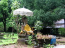 Vat Phu