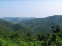 Parc National de Khao Yai