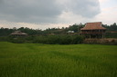 Muong Phang